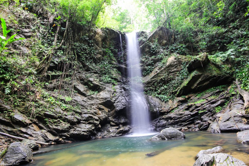 Avocat Waterfall Trinidad