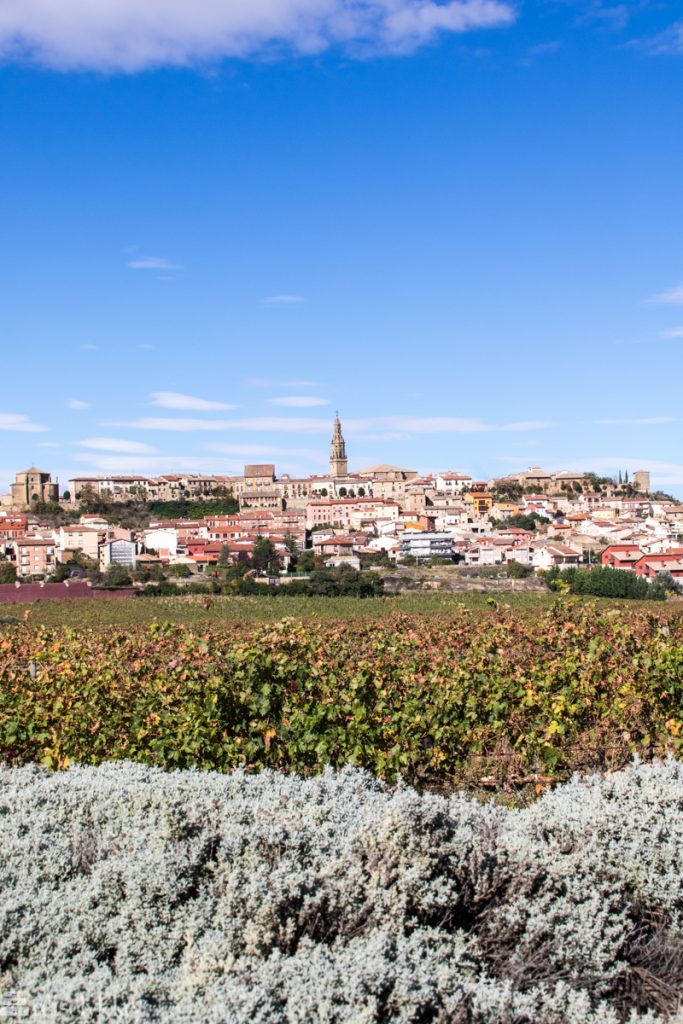 Briones ligger på en høyde over vinmarker i vinområdet Rioja