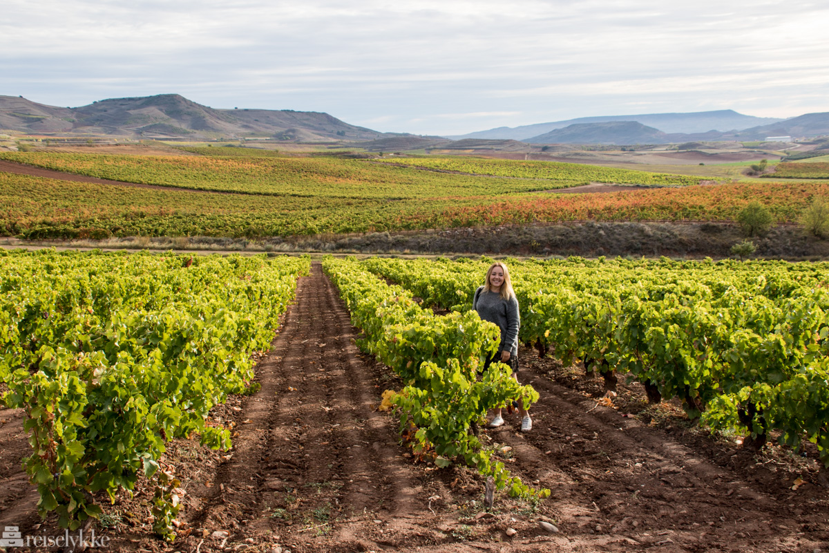 Vinområdet Rioja – en reise i smak og vintradisjon