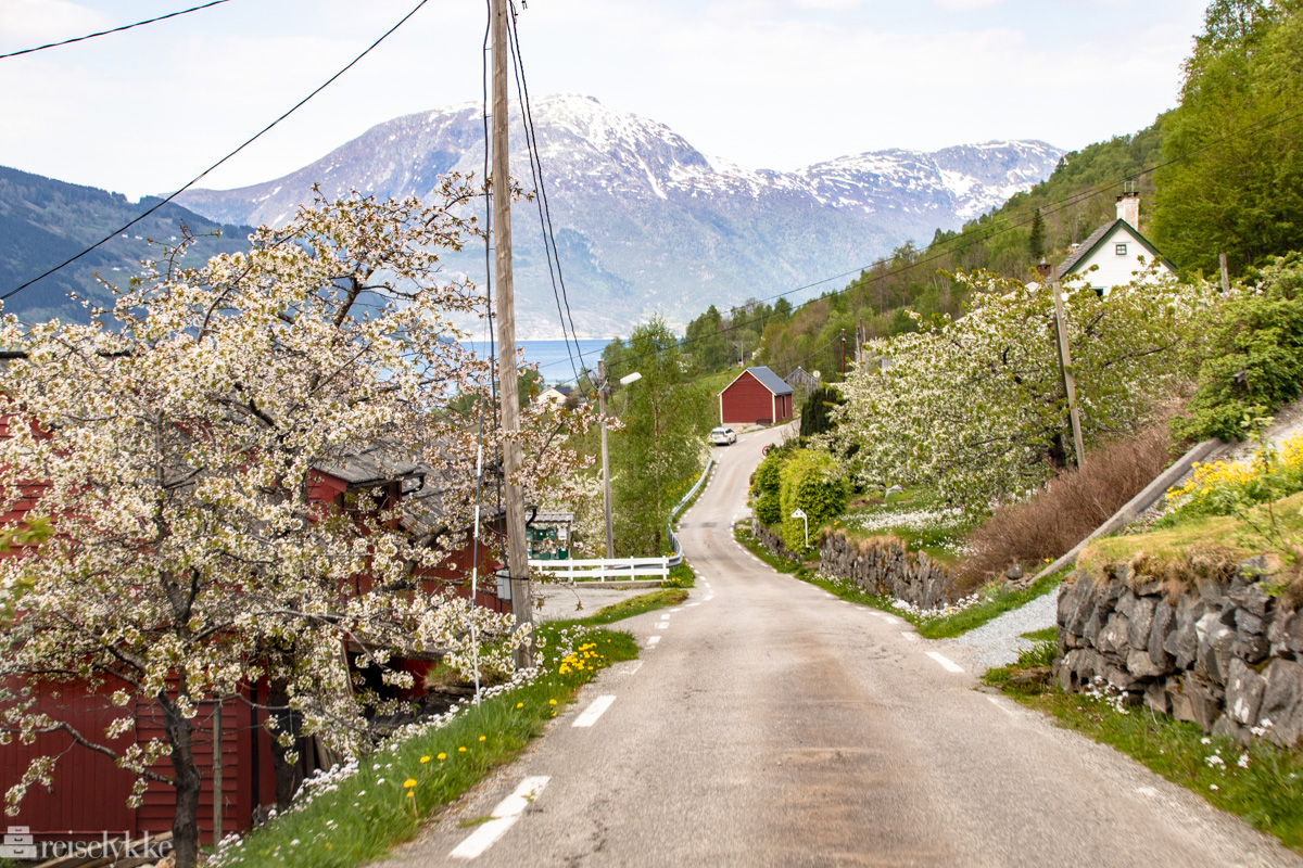 Hardanger