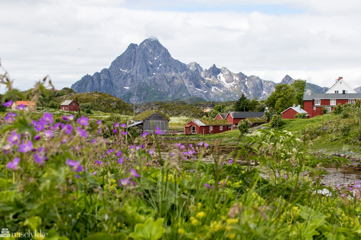 Lofoten: Tips til tre korte vandreturer