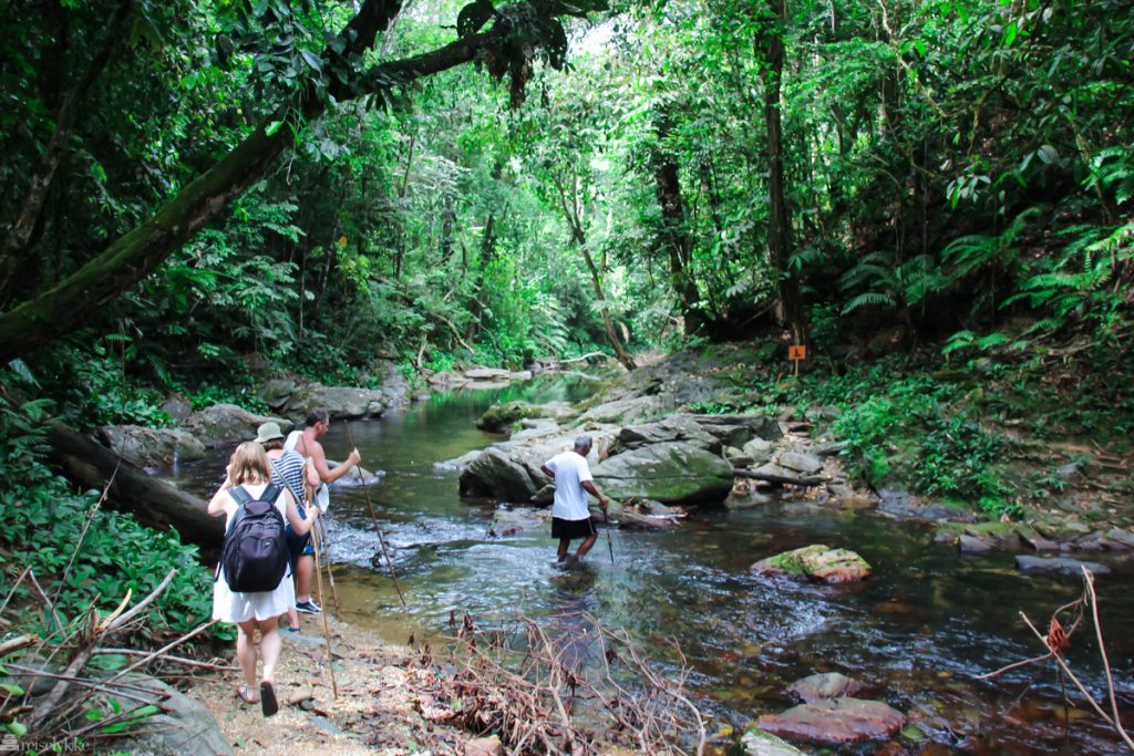 Marianne River i regnskogen på Trinidad