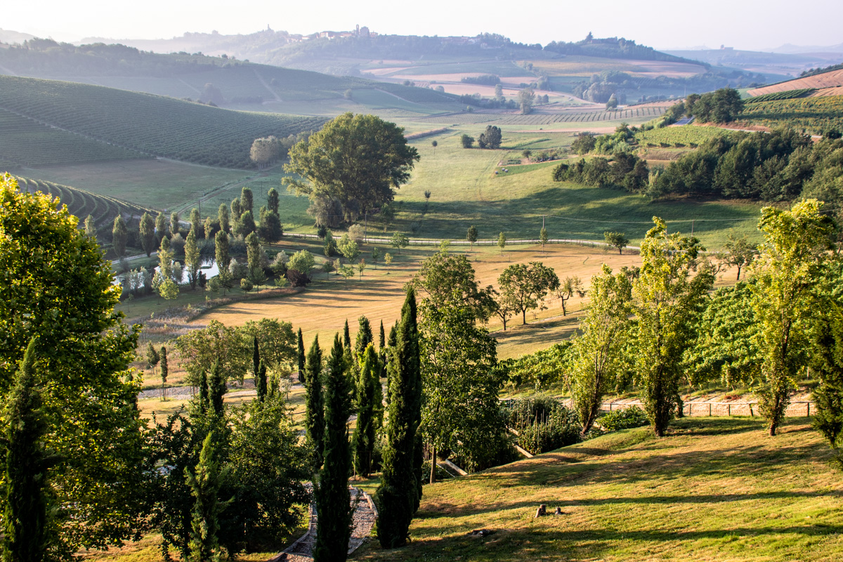 En vinreise i Piemonte: Monferrato og Langhe-Roero 