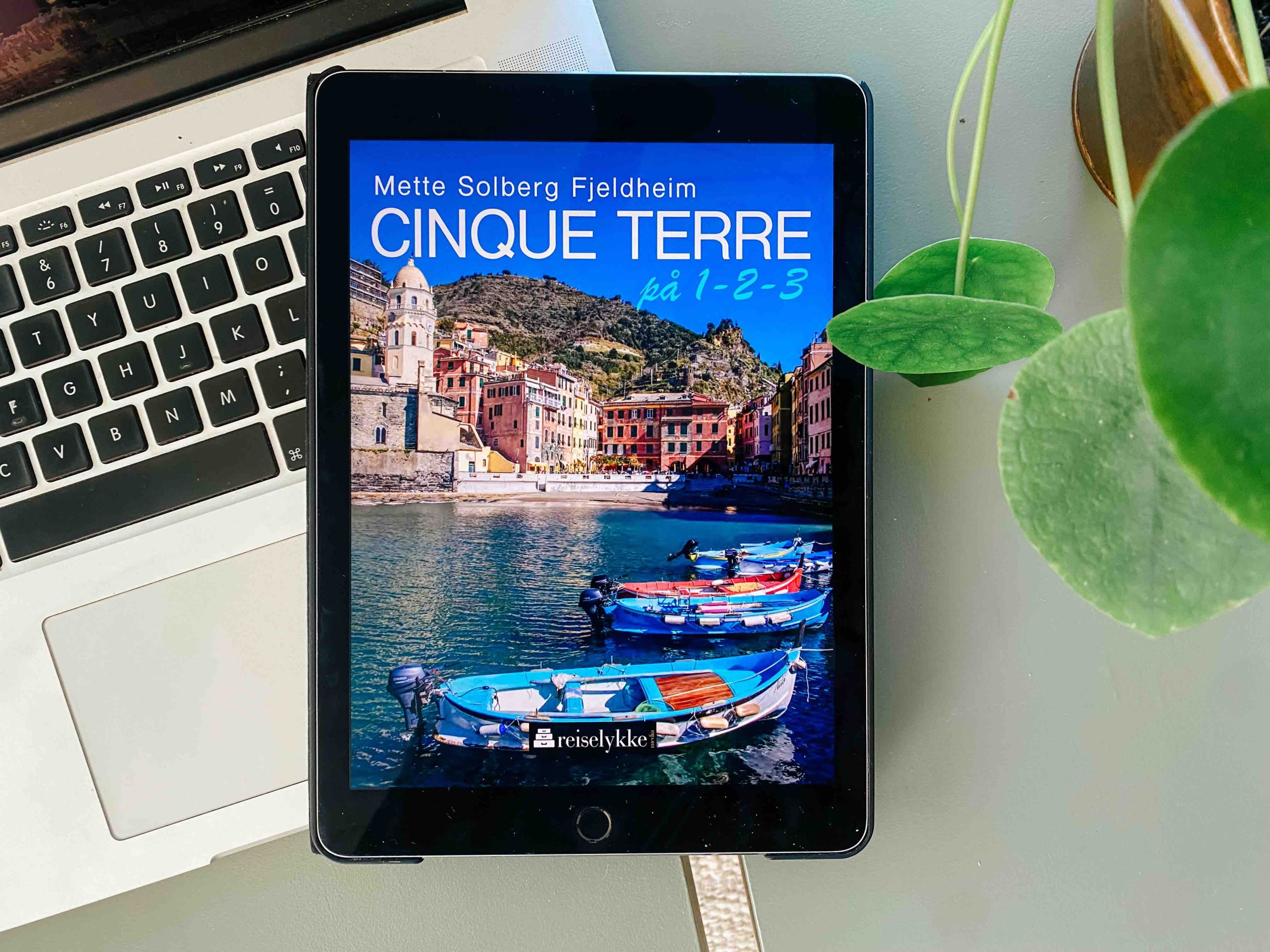 Reiseguide til Cinque Terre (ebok)