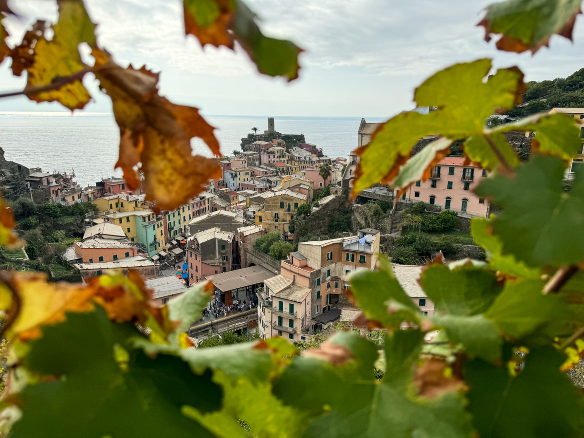 Utsikt til Vernazza fra vinmark i Vernazza