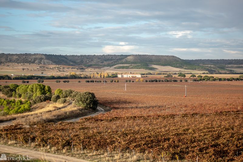 Abadia Retuerta i Ribera del Duero